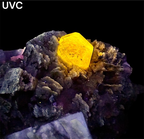 659 fluorescent - gr.,