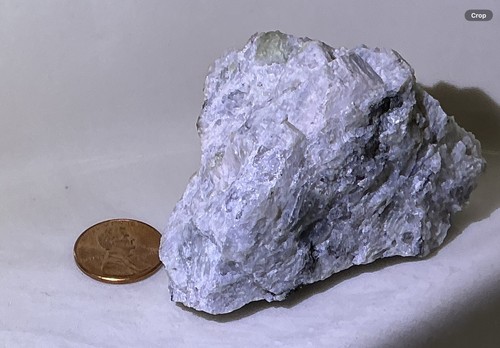 North carolina fluorescent - north,