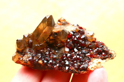 Rare natural bright - , red